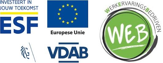 Odoo tekst en afbeelding blok